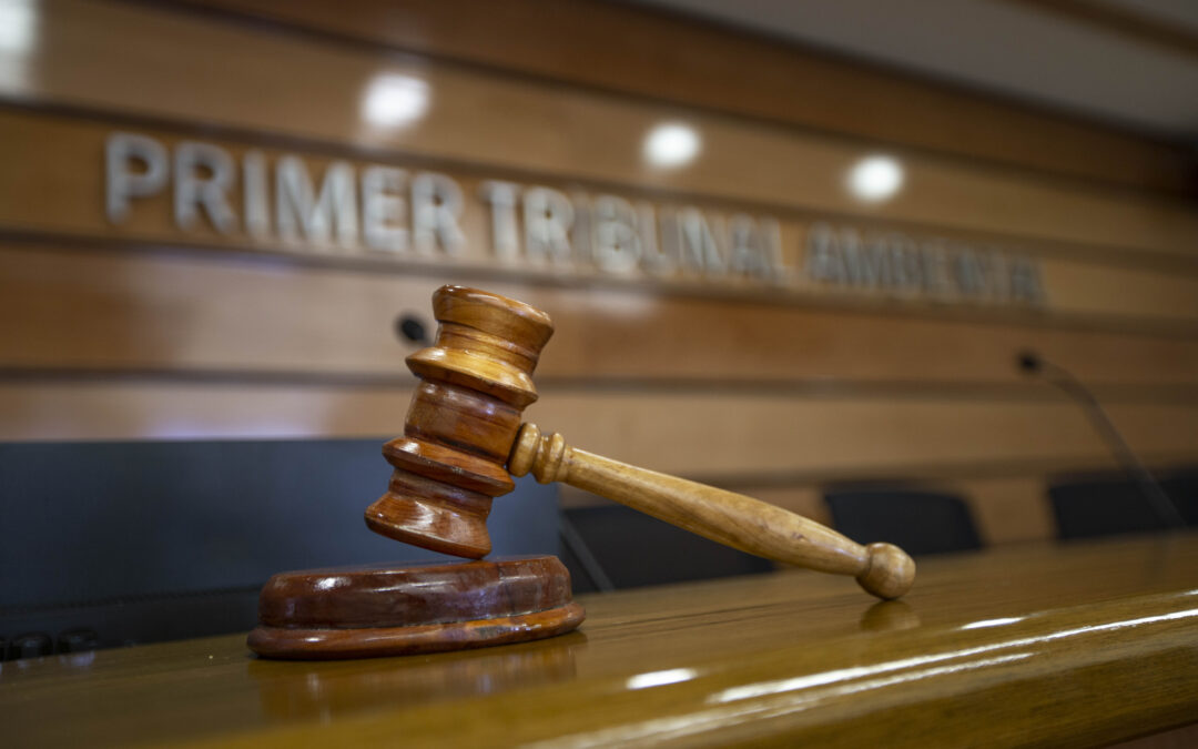 Ordenó nueva votación: Primer Tribunal Ambiental acoge reclamación de Andes Iron y anula resolución que calificó desfavorablemente el estudio de impacto ambiental