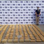 Tarapacá: Decomisan más de 313 kilos de droga y detienen a banda criminal
