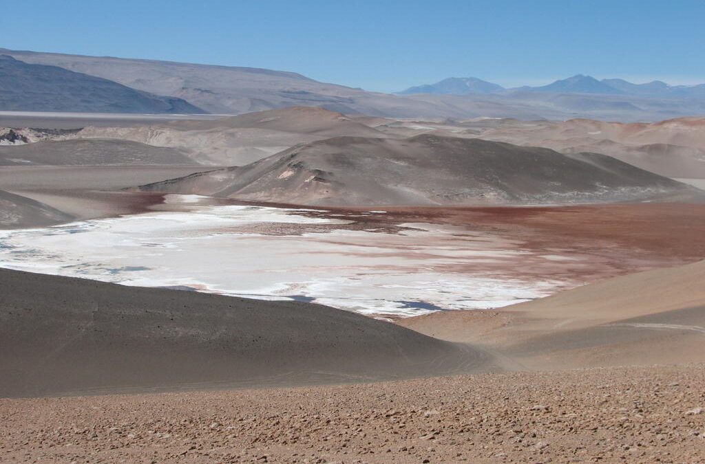 Salar Punta Negra: Tribunal accede a petición de Minera Escondida y excluye a comunidad indígena atacameña del proceso por la demanda de daño ambiental del CDE