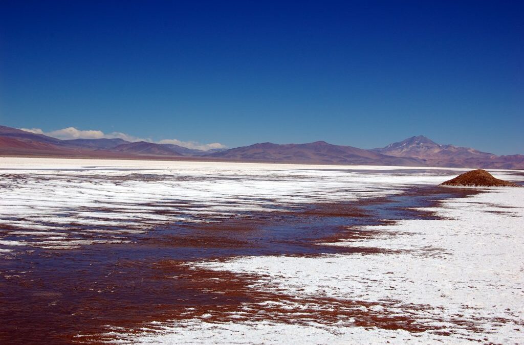 Rechazan recurso de comunidad indígena Colla contra proyecto minero en Salar de Maricunga