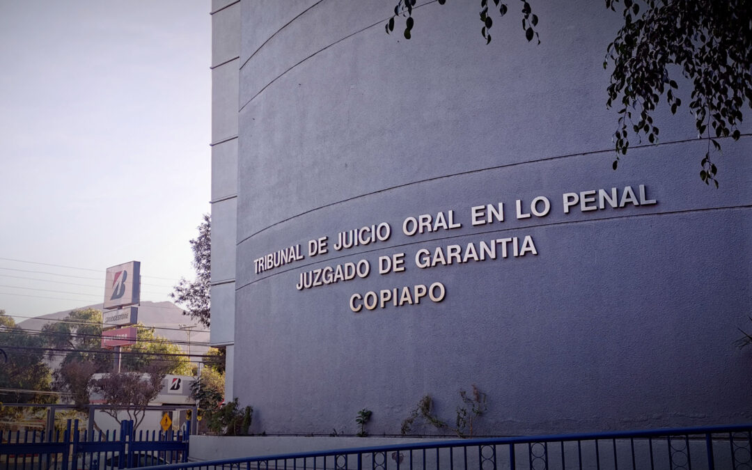 Se le imputó maltrato animal: arresto domiciliario total para hombre formalizado por golpear a su mascota con objeto contundente y dejarla con contusión craneal