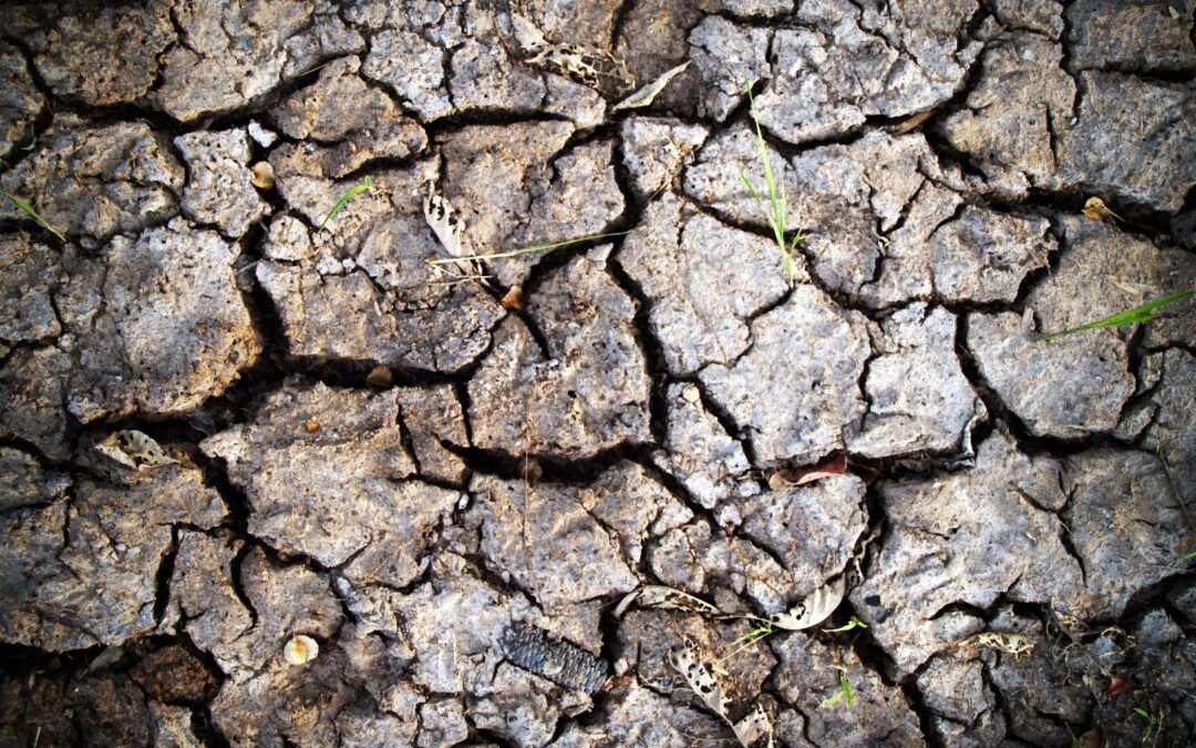 Pronunciamiento en casos de déficit hídrico: contralor Bermúdez señala que distribución diaria de agua no puede ser menor a 100 litros por persona