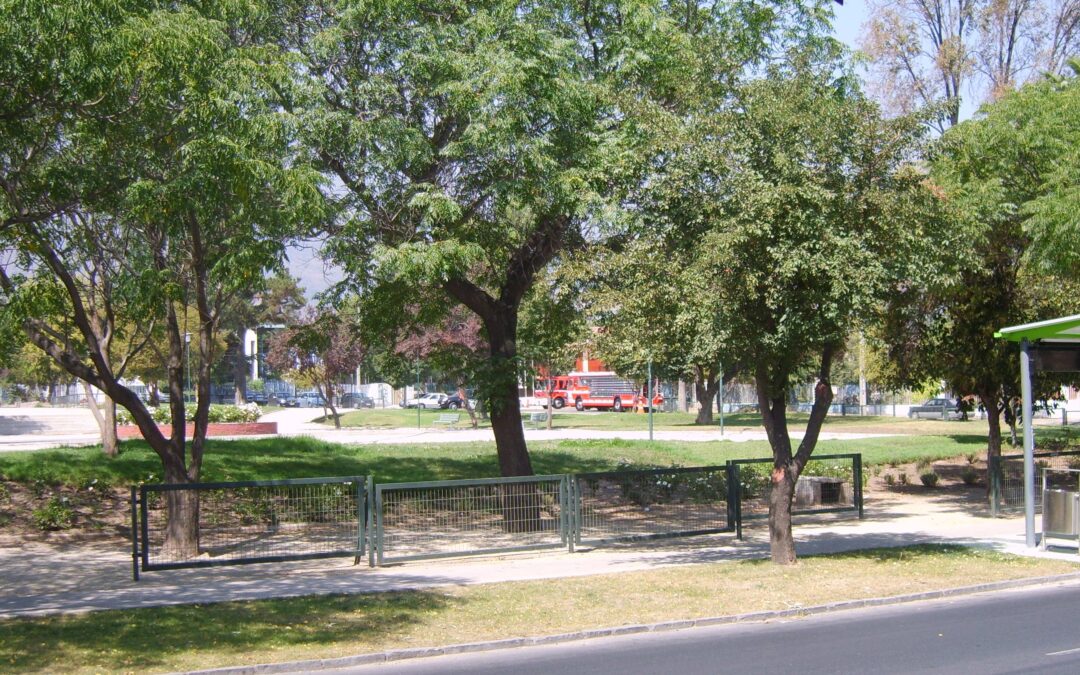 Hecho ocurrió en calle Príncipe de Gales: condenan a municipio de La Reina a pagar $160 millones de indemnización a familia de transeúnte que falleció tras caerle pesada rama