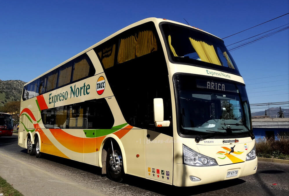 Flota de Buses lanza campaña Navidad Segura: Envío de regalos a todo Chile por mil pesos y descuentos en pasajes a personas vacunadas