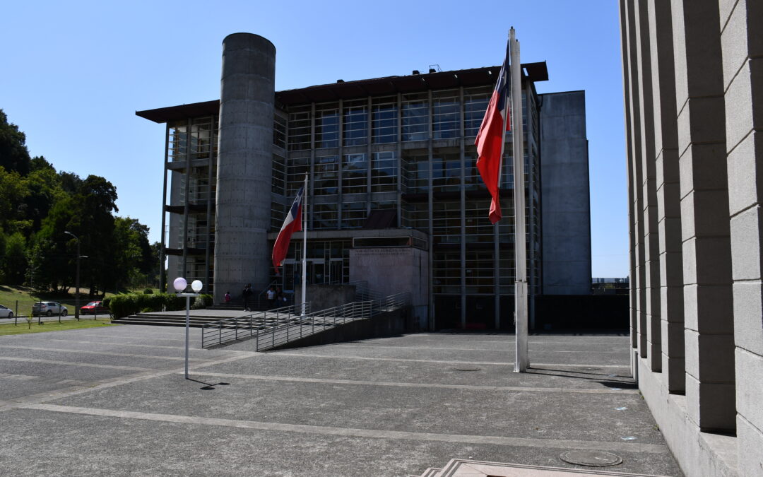 Padre Las Casas: condenan a 10 años de cárcel a mujer por homicidio ocurrido en riña