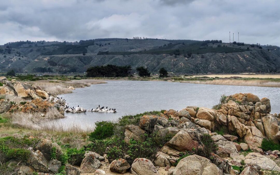 Evitar alteración del estado natural: Tercera Sala del Máximo Tribunal acoge recurso y ordena a dueño de predio que impida el ingreso de vehículos a dunas de Tunquén por ser área protegida