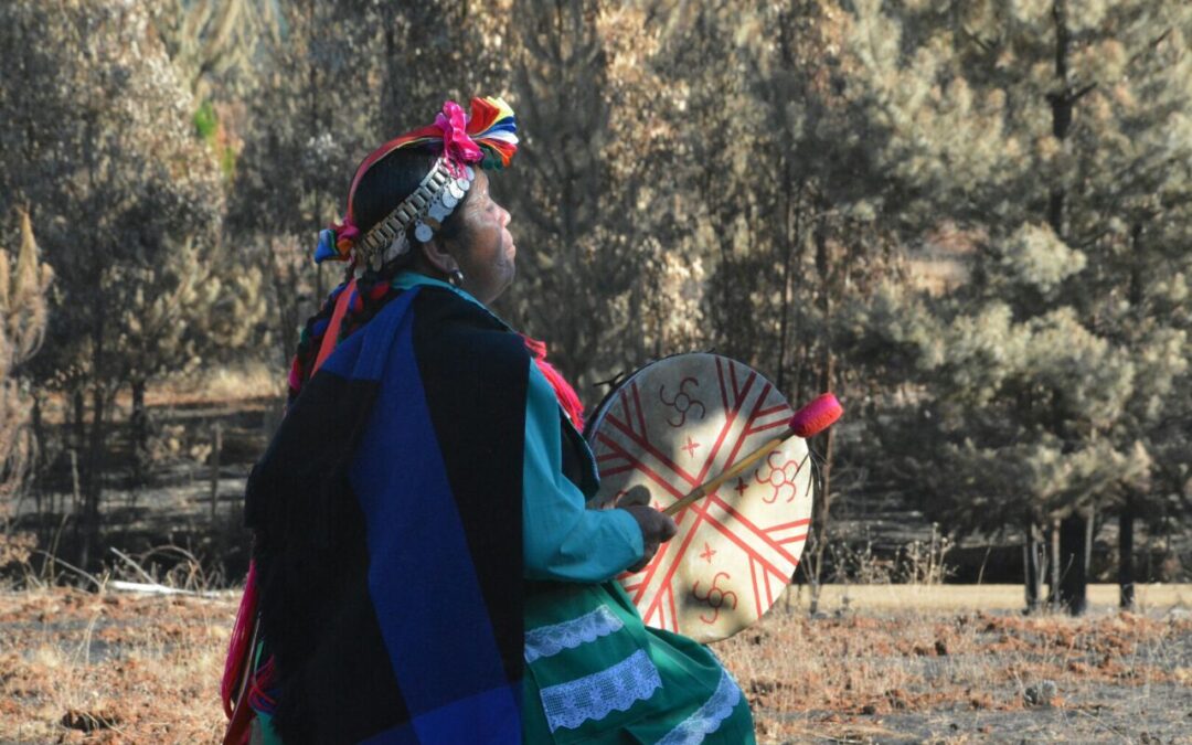Se vulneró el Convenio 169 de la OIT al no permitir que visite a internos:  Corte de Temuco ordena a Gendarmería permitir que machi ingrese a recinto penitenciario de Angol