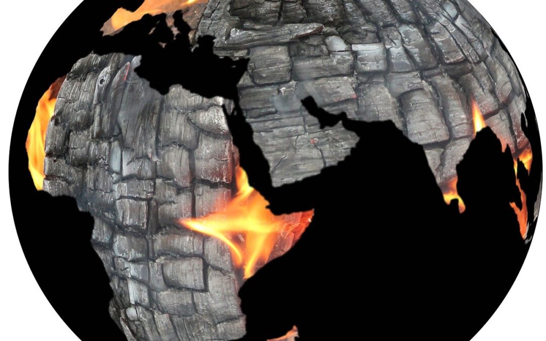 Corte Penal Internacional estudia considerar el delito de Ecocidio en el Estatuto de Roma: Penalista chileno es parte del panel que interviene en el debate