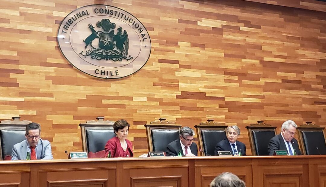 Garantías de la Niñez: TC declara inconstitucional decisión del Congreso de declarar inadmisibles observaciones presentadas por el Presidente Piñera en veto