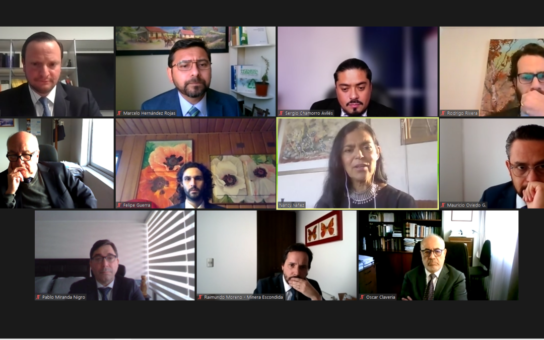 Mesa de diálogo, plan de manejo, compensación y reparación: Primer Tribunal Ambiental revisará acuerdo entre CDE y Minera Escondida en demanda por daño ambiental