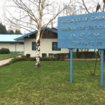 Tribunal oral de Coyhaique condena a cuatro años de libertad vigilada a abogado por abuso sexual de niña de 14 años en Caleta Tortel