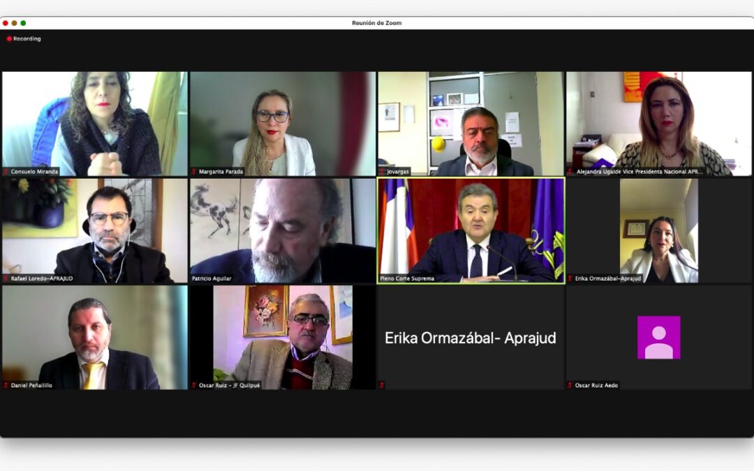 Profesionales del Poder Judicial presentaron al presidente de la Corte Suprema su propuesta para la reforma a la Constitución