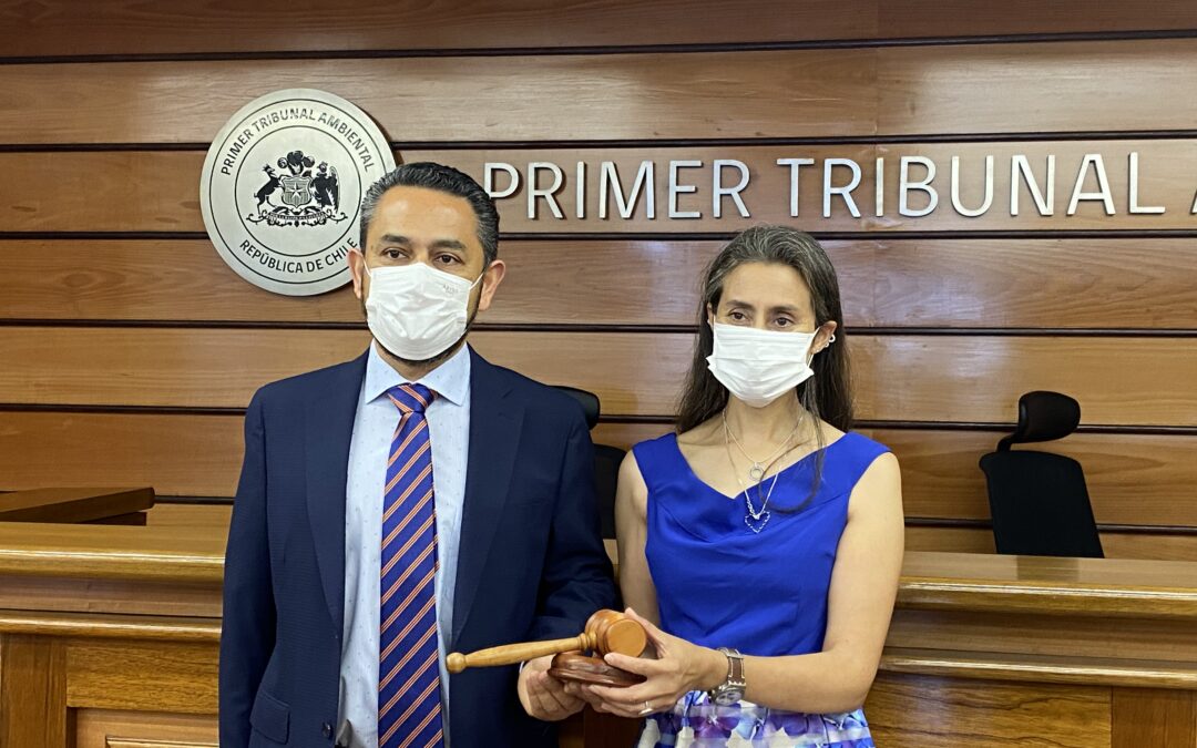 Abogada Sandra Álvarez Torres asumió como presidenta del Primer Tribunal Ambiental y se transforma en la primera mujer de un tribunal ambiental en asumir ese cargo