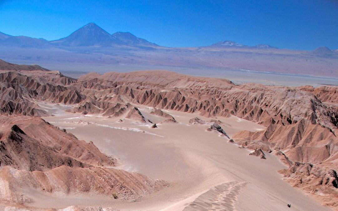 Gobernador de Atacama presentó recurso de protección para suspender la adjudicación de la licitación pública del litio