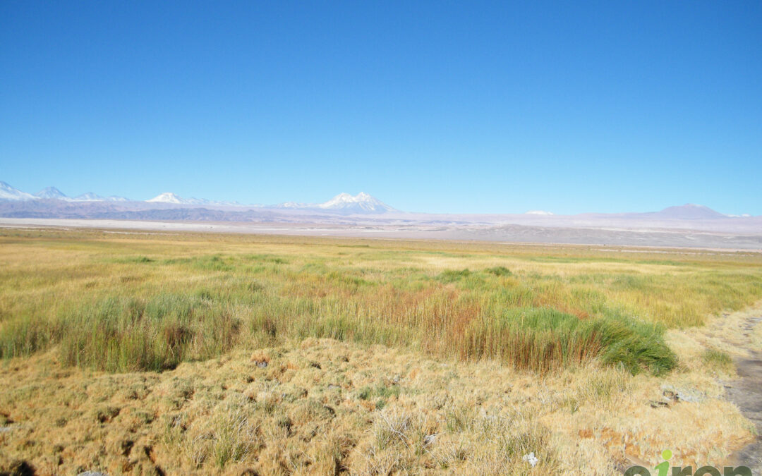 Comunidad indígena presenta demanda por daño ambiental contra Minera Escondida