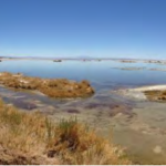 Consejo de Defensa del Estado demanda a tres mineras por daño ambiental en Salar de Atacama