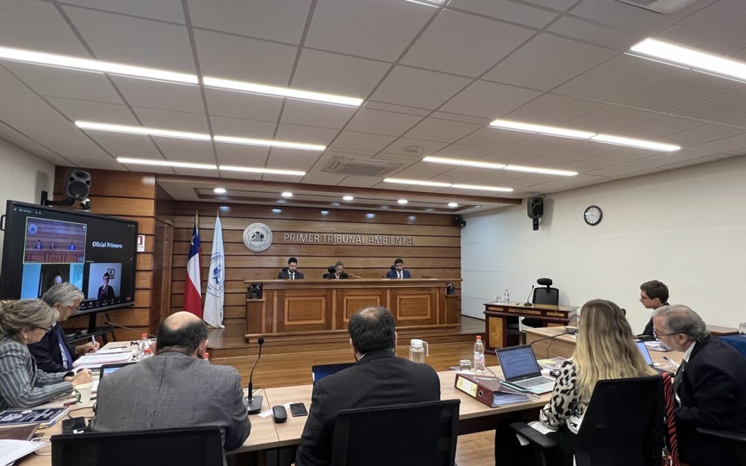 Testigos declararon en audiencia de la demanda por daño ambiental por socavón de Tierra Amarilla