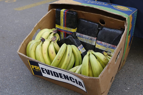 Sexto TOP de Santiago condena a presidio efectivo a autores de tráfico de droga en cargamento de plátanos