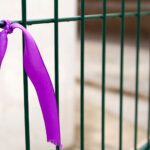 Justicia con rostro de mujer: el deber de juzgar con enfoque de género