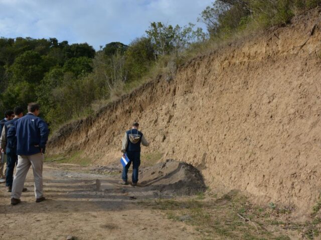 Segundo Tribunal Ambiental ordena el remate de predios de inmobiliaria condenada por daño ambiental
