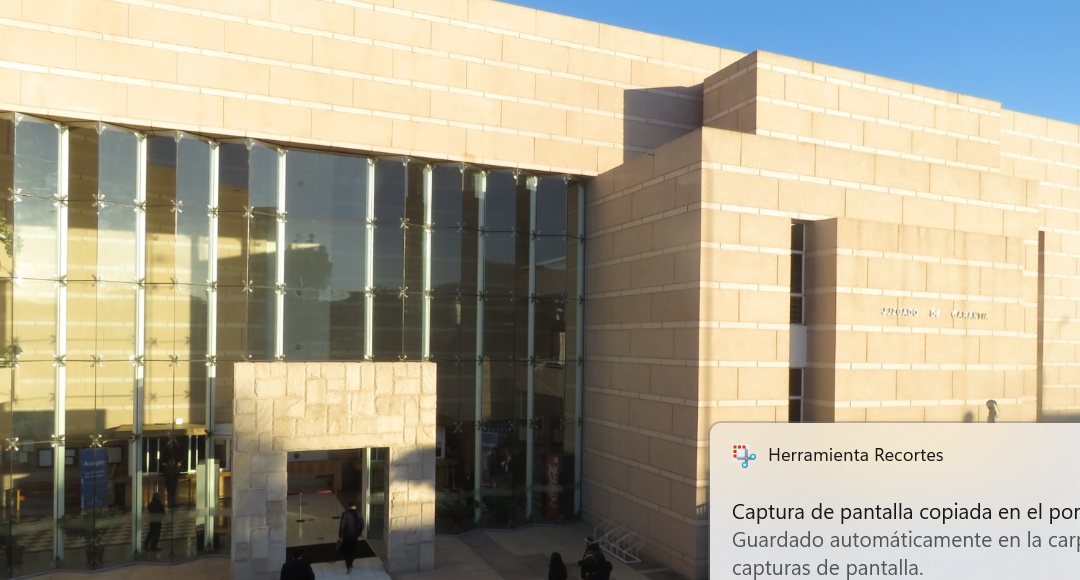 Formalizan por cuasidelito de lesiones a rectora y directores del Colegio Alemán de La Serena