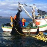Pescadores artesanales de la Condepp recurren al Tribunal Constitucional por ley de fraccionamiento