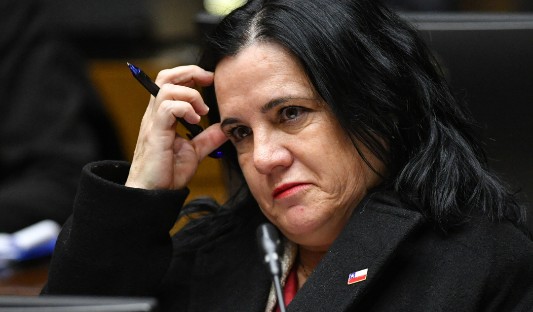 Falta de quórum en la Cámara frena comisión investigadora por gestión de Trinidad Steinert