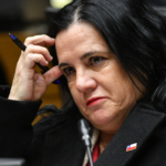 Falta de quórum en la Cámara frena comisión investigadora por gestión de Trinidad Steinert