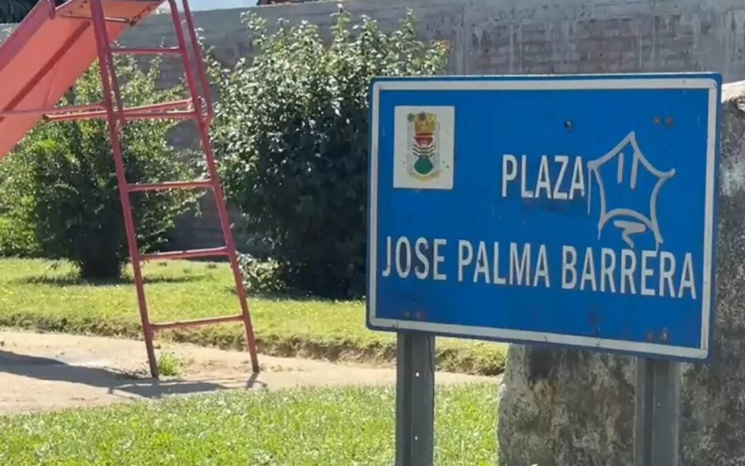 El fallo civil que declaró a un particular como dueño de la mitad de una plaza en Chiguayante